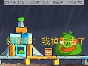 《愤怒的小鸟2》之小兵猪的敌人生存解析：挑战与应对之策