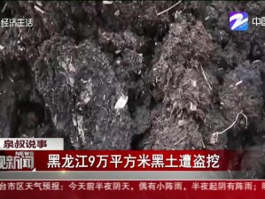 黑龙江珍贵黑土地遭盗挖，保护刻不容缓行动迅速落实措施