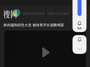 一款可以直接观看 GV 的视频播放软件