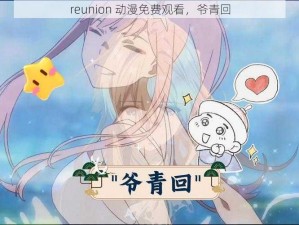 reunion 动漫免费观看，爷青回