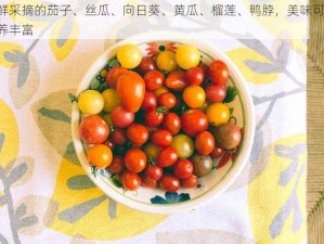 新鲜采摘的茄子、丝瓜、向日葵、黄瓜、榴莲、鸭脖，美味可口，营养丰富