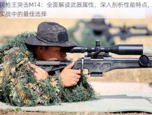 全民枪王突击M14：全面解读武器属性，深入剖析性能特点，射击实战中的最佳选择