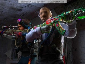 暴躁老阿姨 csgo 图片展示——你的游戏壁纸首选