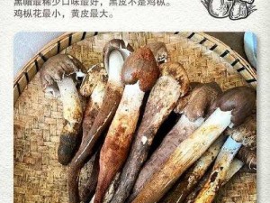 云南野生菌花核心，两个人吃更美味