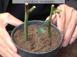 72 种扦插方法，轻松繁殖植物