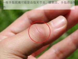 女生一根手指就痛可能是由指关节炎、腱鞘炎、手指感染等原因引起的