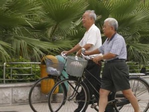 老年同志 japaneseold 老年生活的好伴侣