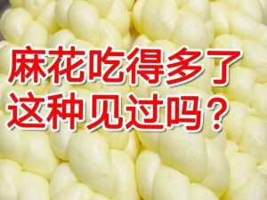 麻花视频 322 纯净版，网友直呼内行