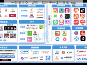 一款集社交、娱乐、购物于一体的直播 app