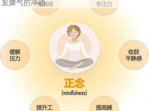 情绪控制训练课程：帮助儿子有效控制对妈妈发脾气的冲动