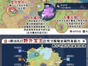 宝可梦大探险剑山原野6-2通关攻略详解：掌握技巧，轻松突破难关