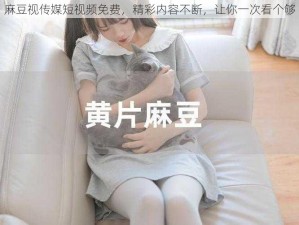 麻豆视传媒短视频免费，精彩内容不断，让你一次看个够