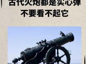 帝国时代2手推炮的克星武器揭秘：何种兵器能克制其威力？