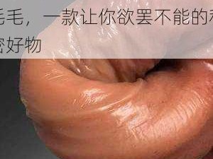 特肥大 BBwBBw 高潮毛毛，一款让你欲罢不能的私密好物