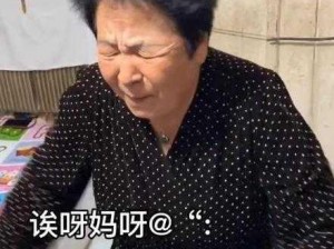 偷玩农村老妇女视频：一款功能强大的视频播放器