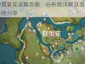 原神霓裳花采集攻略：分布图详解及高效收集路线分享