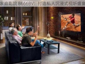 家庭影院 B666BV：打造私人沉浸式视听盛宴