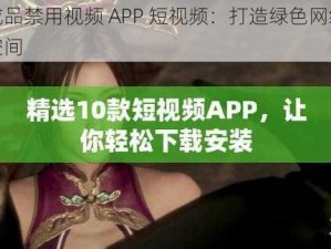 成品禁用视频 APP 短视频：打造绿色网络空间