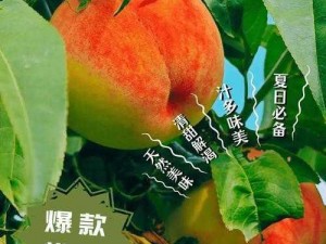 蜜桃成熟时 1779：夏日限定，甜蜜来袭