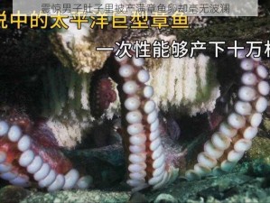 震惊男子肚子里被产满章鱼卵却毫无波澜