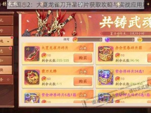 少年三国志2：大夏龙雀刀升星碎片获取攻略与实战应用解析