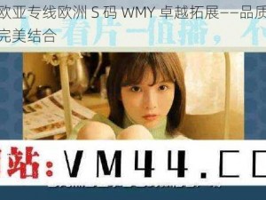 探索欧亚专线欧洲 S 码 WMY 卓越拓展——品质与速度的完美结合