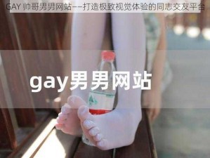 GAY 帅哥男男网站——打造极致视觉体验的同志交友平台