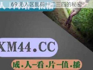 69 无人区乱码一二三四的秘密