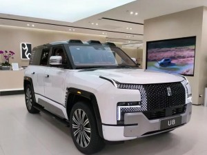 在欧洲市场备受瞩目的高品质国产 SUV