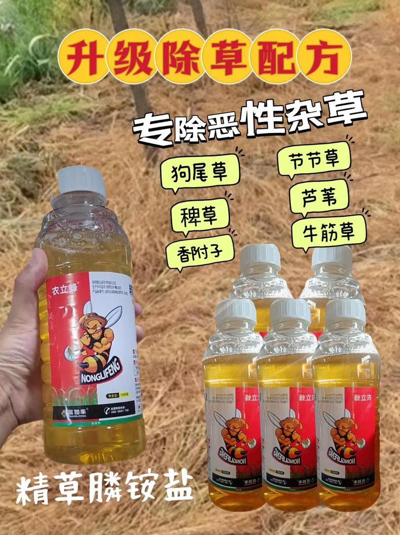 51788 一起草，让你的创意如草般疯长的创意设计神器