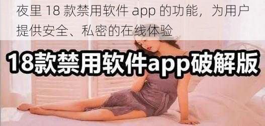 夜里 18 款禁用软件 app 的功能，为用户提供安全、私密的在线体验