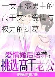 一女主多男主的高干文：爱情与权力的纠葛