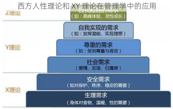 西方人性理论和 XY 理论在管理学中的应用