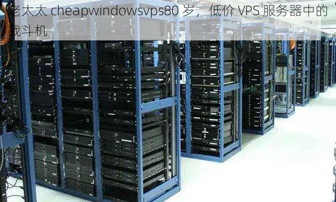 老太太 cheapwindowsvps80 岁，低价 VPS 服务器中的战斗机