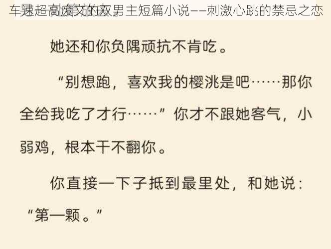 车速超高废文的双男主短篇小说——刺激心跳的禁忌之恋