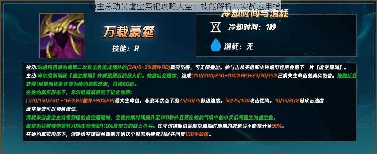 领主总动员虚空祭祀攻略大全：技能解析与实战应用指南