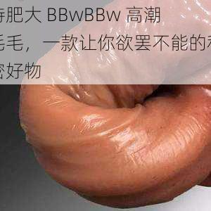 特肥大 BBwBBw 高潮毛毛，一款让你欲罢不能的私密好物