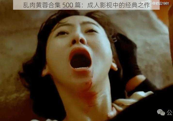 乱肉黄蓉合集 500 篇：成人影视中的经典之作