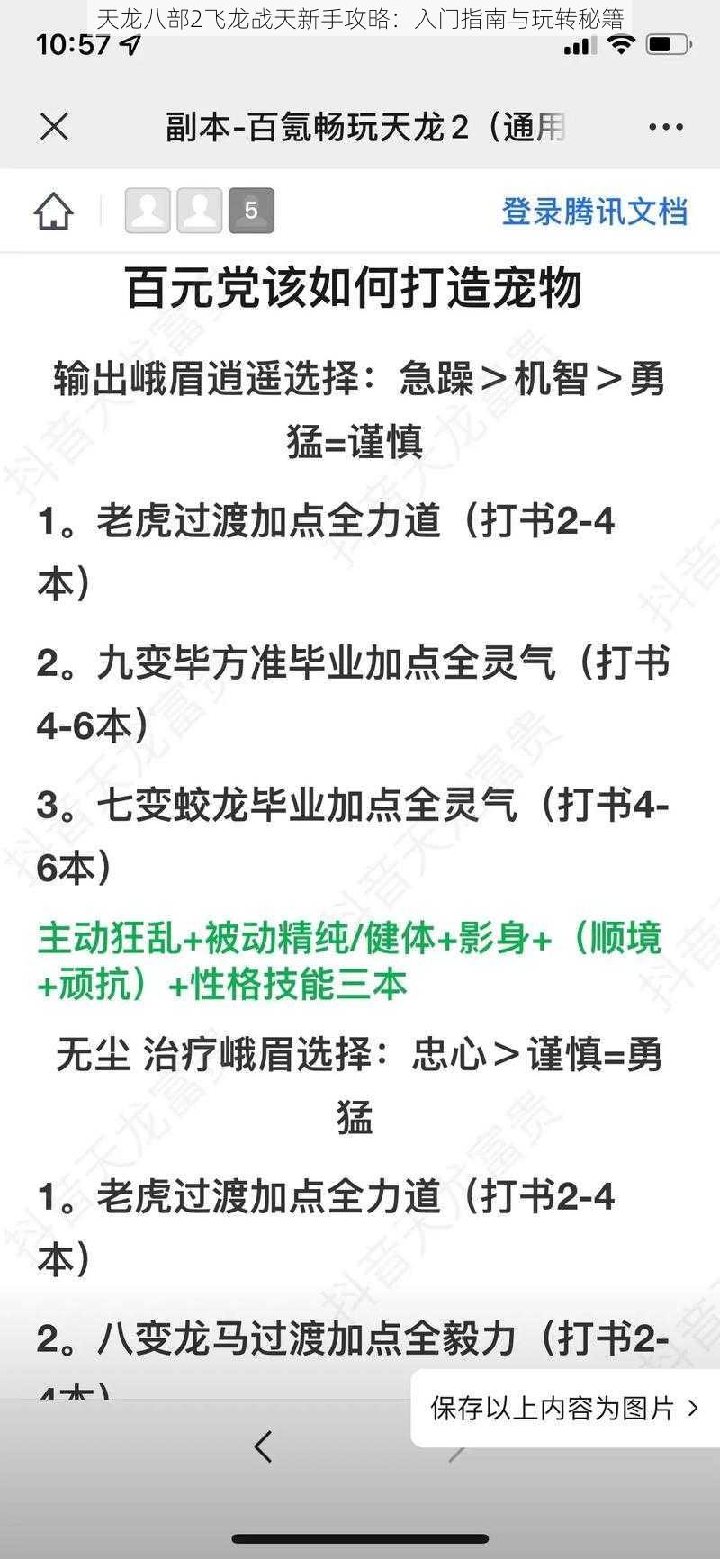 天龙八部2飞龙战天新手攻略：入门指南与玩转秘籍