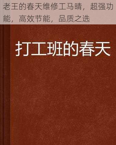 老王的春天维修工马晴，超强功能，高效节能，品质之选