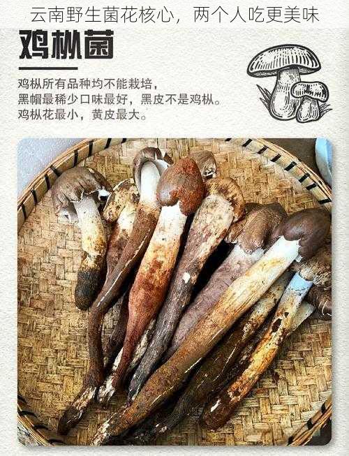 云南野生菌花核心，两个人吃更美味