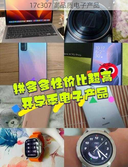 17c307 高品质电子产品