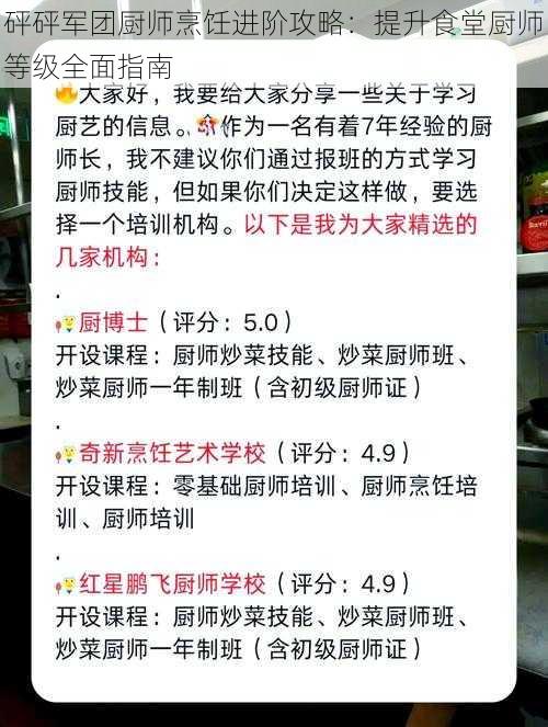 砰砰军团厨师烹饪进阶攻略：提升食堂厨师等级全面指南