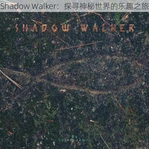 Shadow Walker：探寻神秘世界的乐趣之旅