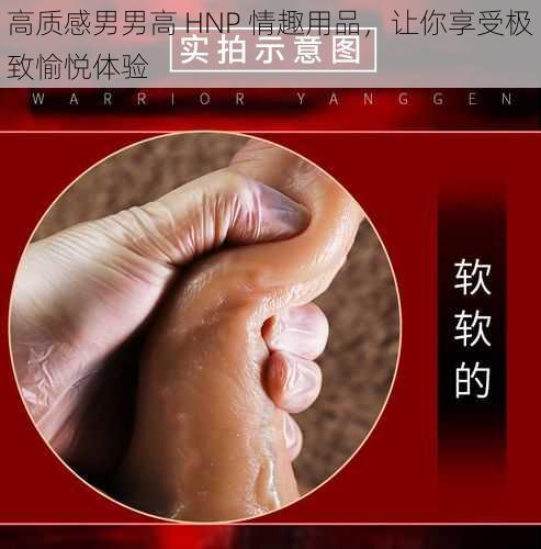 高质感男男高 HNP 情趣用品，让你享受极致愉悦体验