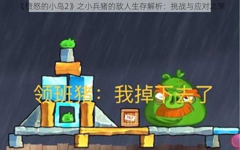 《愤怒的小鸟2》之小兵猪的敌人生存解析：挑战与应对之策