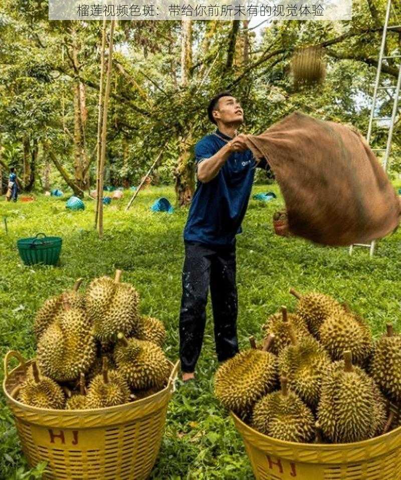 榴莲视频色斑：带给你前所未有的视觉体验