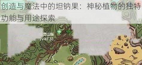 创造与魔法中的坦钠果：神秘植物的独特功能与用途探索