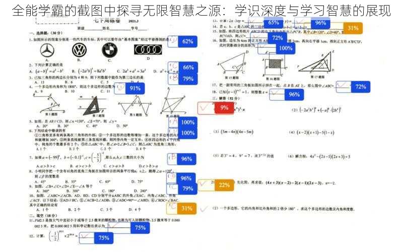 全能学霸的截图中探寻无限智慧之源：学识深度与学习智慧的展现