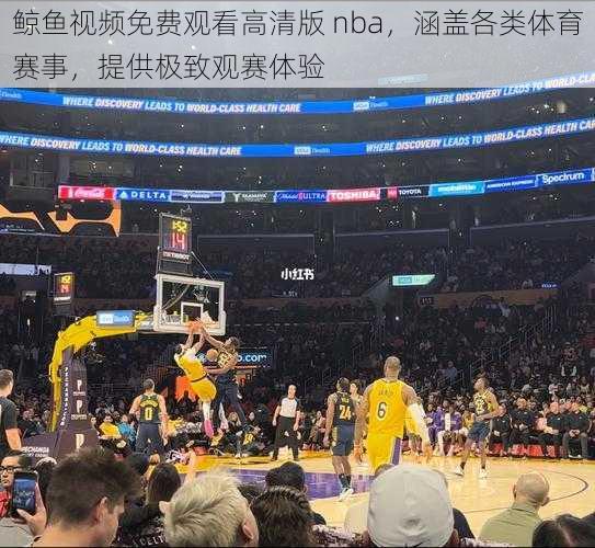 鲸鱼视频免费观看高清版 nba，涵盖各类体育赛事，提供极致观赛体验